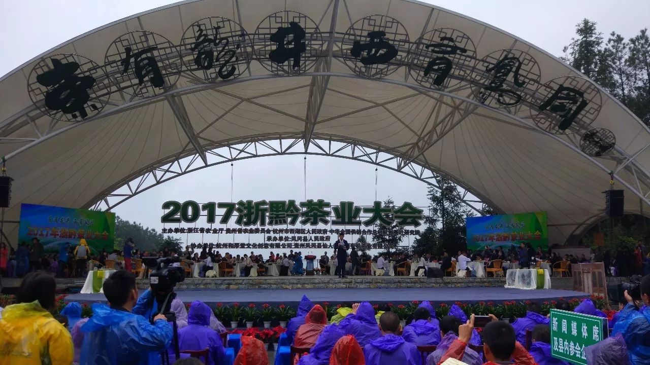 凤冈茶凤冈富锌富硒茶(凤岗硒锌茶的功效)-硒宝网