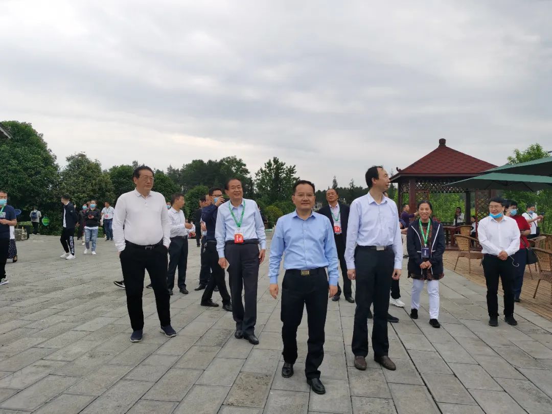 凤冈茶凤冈富锌富硒茶（凤冈锌硒富硒茶）-硒宝网