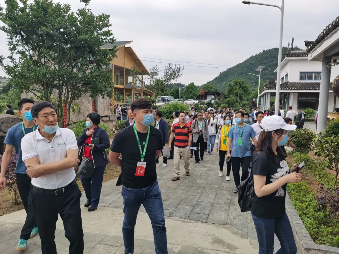 凤冈茶凤冈富锌富硒茶（凤冈锌硒富硒茶）-硒宝网