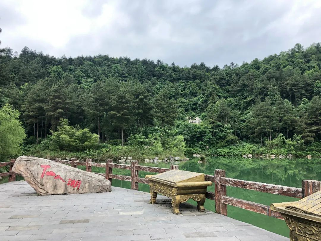 凤冈茶凤冈富锌富硒茶（凤冈锌硒富硒茶）-硒宝网