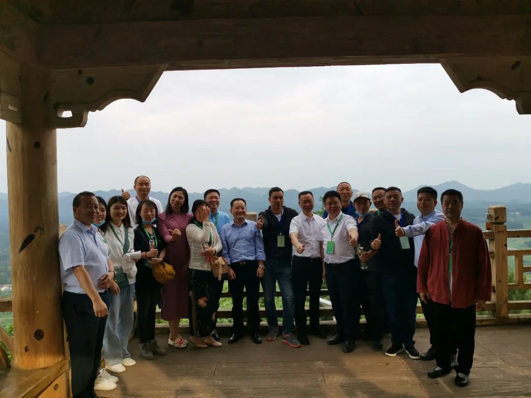 凤冈茶凤冈富锌富硒茶（凤冈锌硒富硒茶）-硒宝网