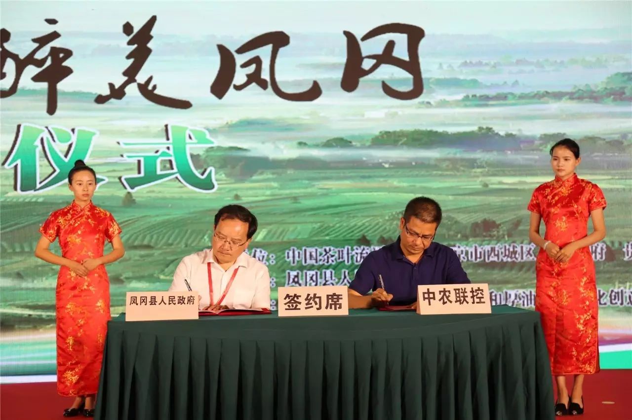 凤冈茶凤冈富锌富硒茶(凤岗富硒茶价格)-硒宝网