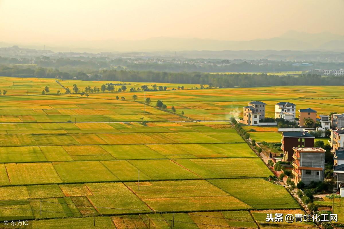 富硒茶硒含量广西标准(富硒茶的硒含量标准)-硒宝网