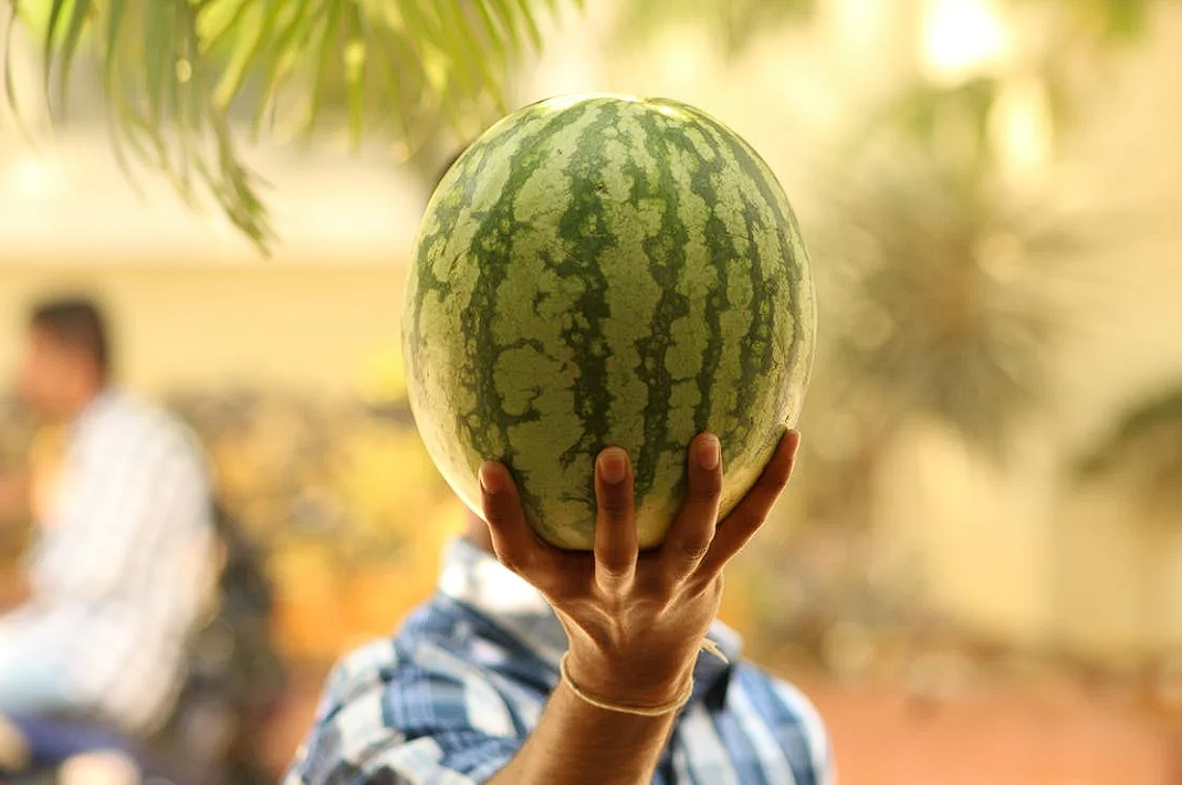 富硒茶没有标注硒含量(富硒茶含硒量是多少)-硒宝网