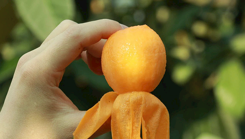 富硒茶没有标注硒含量(富硒茶含硒量是多少)-硒宝网