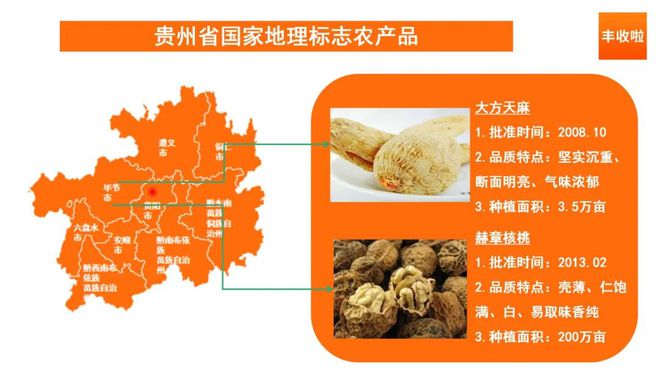 凤冈富锌富硒茶 发酵（凤岗富硒茶价格）-硒宝网