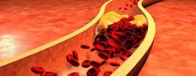 富硒茶没有标注硒含量（茶叶中硒含量）-硒宝网