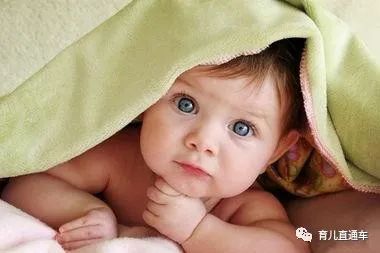 维生素ad是补钙的吗（维生素补钙是哪种）-硒宝网