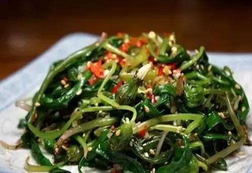 富硒蒲公英茶是什么茶（蒲公英有硒含量吗）-硒宝网