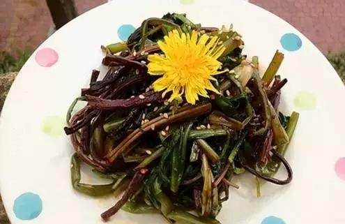 富硒蒲公英茶是什么茶（蒲公英有硒含量吗）-硒宝网