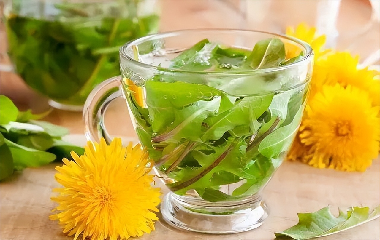 富硒蒲公英茶是什么茶(蒲公英含硒元素吗)-硒宝网