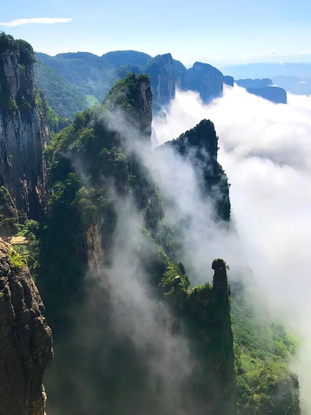 世界硒都恩施高富硒茶（恩施富硒茶硒含量）-硒宝网