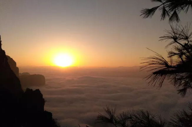 世界硒都恩施高富硒茶（恩施富硒茶硒含量）-硒宝网