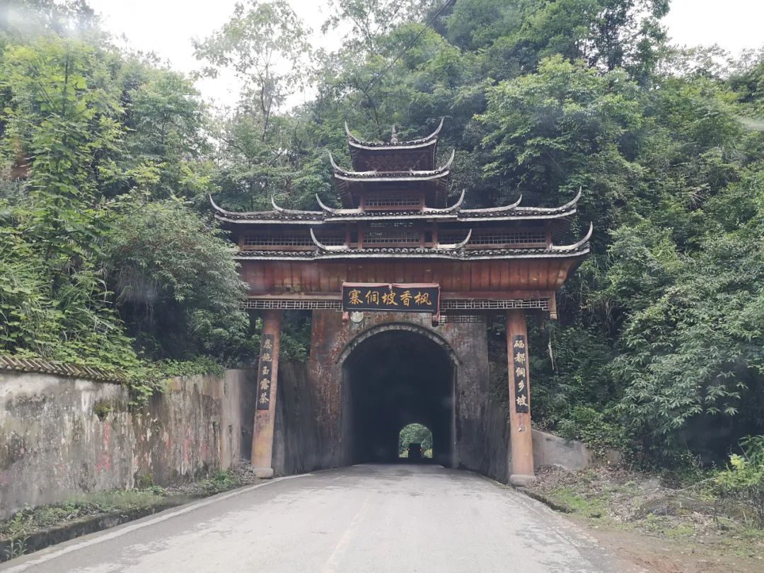 世界硒都恩施高富硒茶（恩施富硒茶硒含量）-硒宝网