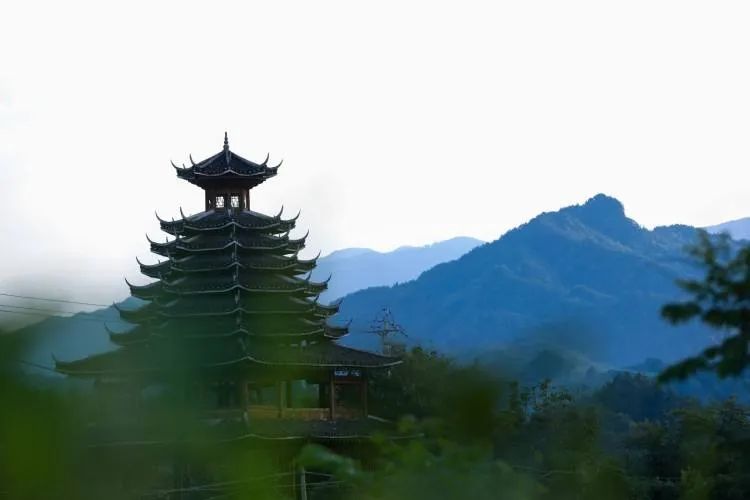 世界硒都恩施高富硒茶（恩施富硒茶硒含量）-硒宝网