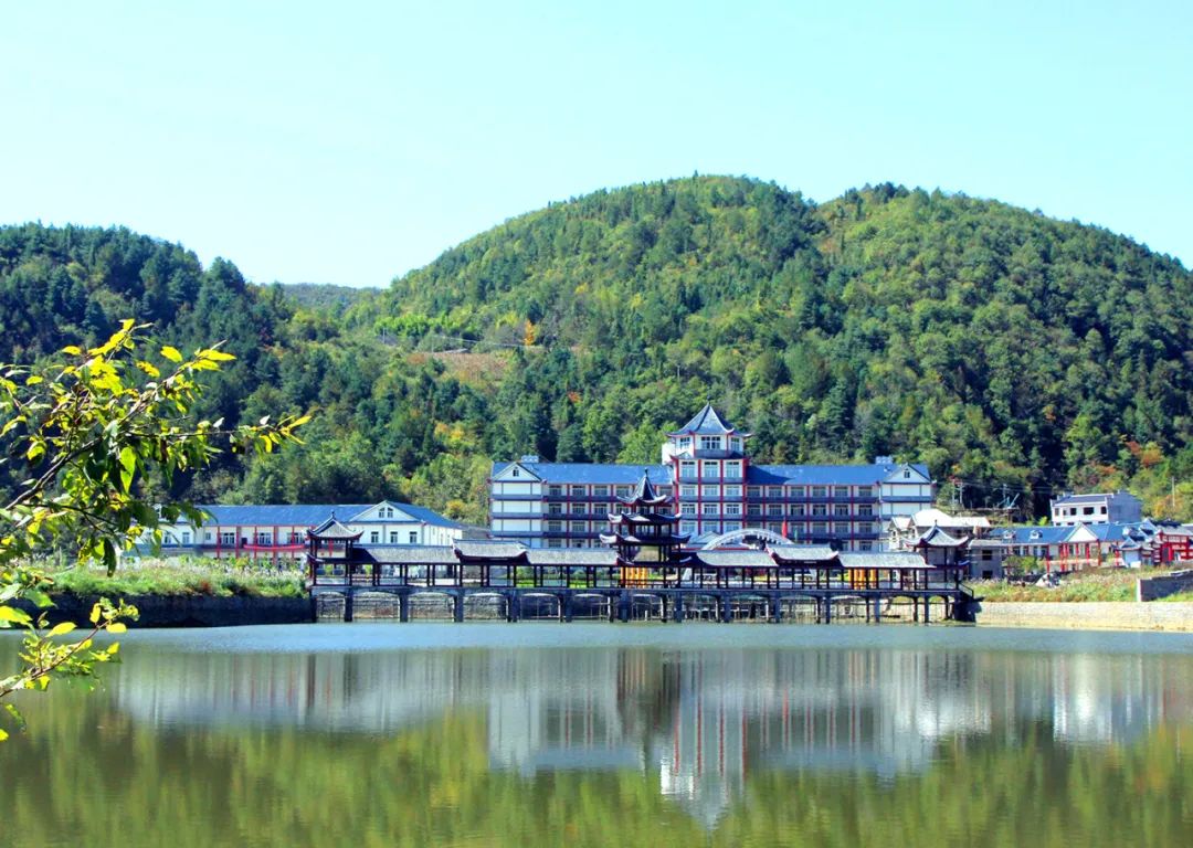 世界硒都恩施高富硒茶（恩施富硒茶硒含量）-硒宝网