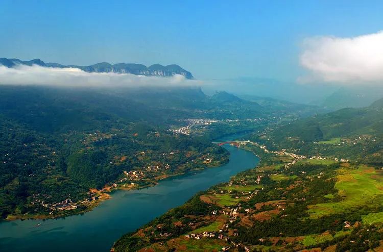 世界硒都恩施高富硒茶（恩施富硒茶硒含量）-硒宝网