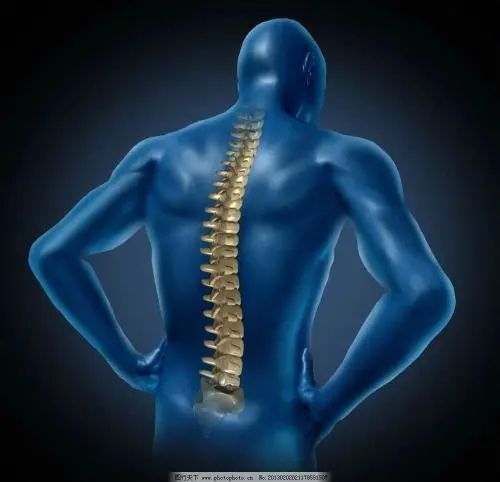 中老年吃什么补钙最好(中老年补钙好吗)-硒宝网