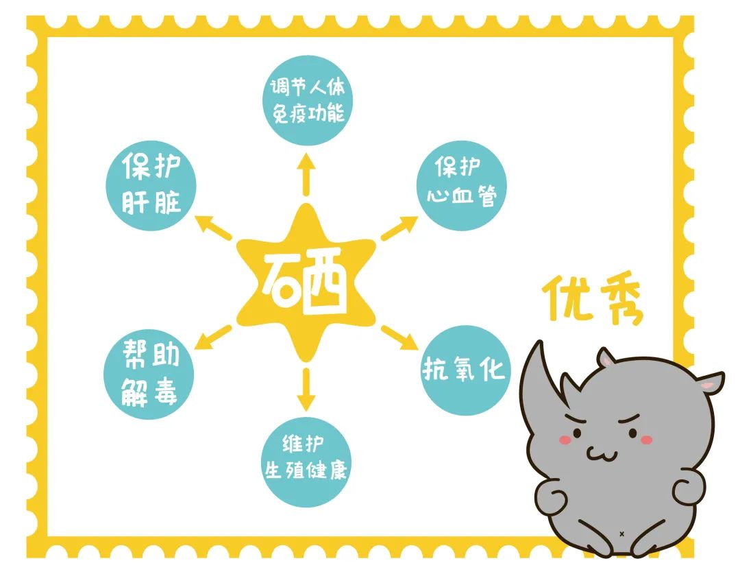 富硒茶中提取硒的作用（硒的提取物）-硒宝网