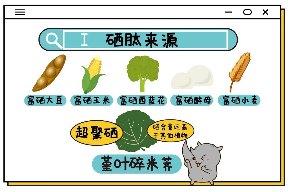 富硒茶中提取硒的作用（硒的提取物）-硒宝网