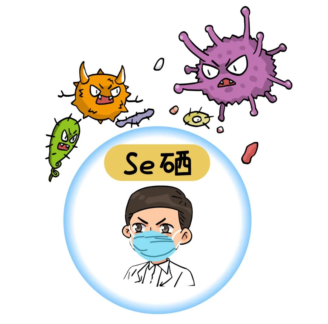 富硒茶中提取硒的作用（硒的提取物）-硒宝网