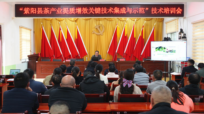 紫阳富硒茶哪种茶最好(紫阳富硒茶的竞争对手)-硒宝网