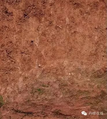 富硒茶怎么测硒含量的(含量测茶富硒硒含量多少)-硒宝网