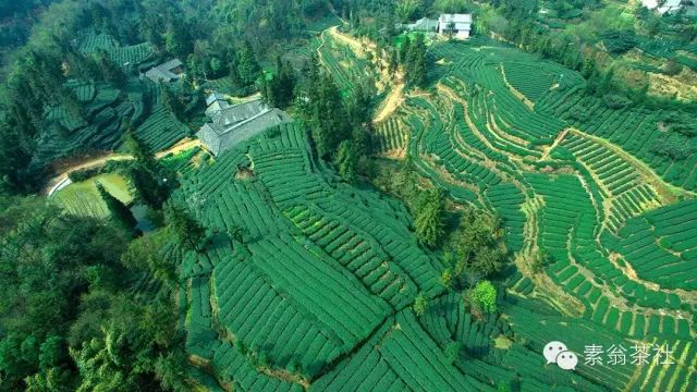 富硒茶怎么测硒含量的(含量测茶富硒硒含量多少)-硒宝网
