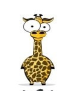 孕妇怎么补铁(孕妇补铁食物)-硒宝网