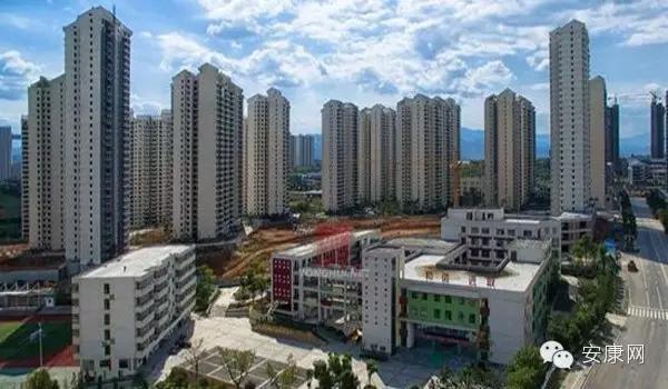 紫阳富硒茶平利绞股蓝(平利绞股蓝茶价格)-硒宝网