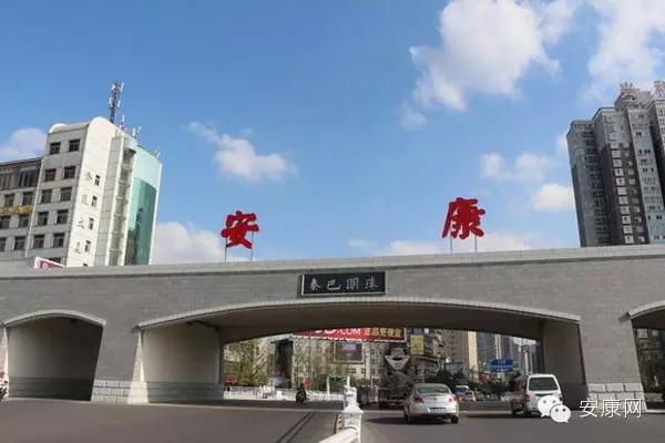 紫阳富硒茶平利绞股蓝(平利绞股蓝茶价格)-硒宝网