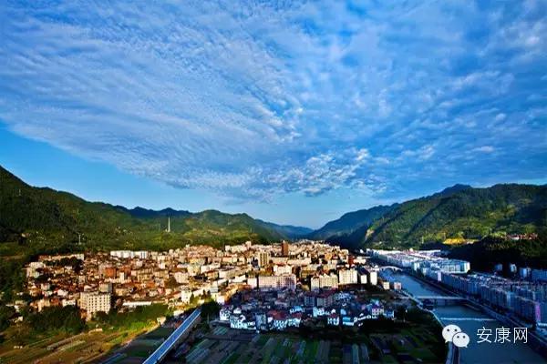 紫阳富硒茶平利绞股蓝(平利绞股蓝茶价格)-硒宝网