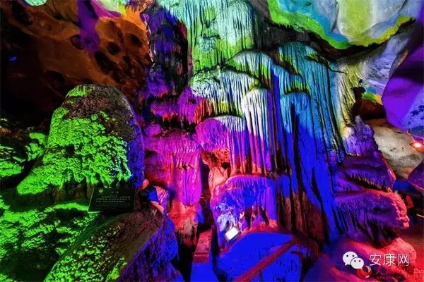 紫阳富硒茶平利绞股蓝(平利绞股蓝茶价格)-硒宝网