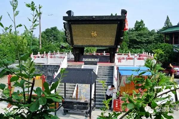 紫阳富硒茶平利绞股蓝(平利绞股蓝茶价格)-硒宝网