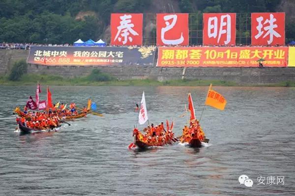 紫阳富硒茶平利绞股蓝(平利绞股蓝茶价格)-硒宝网