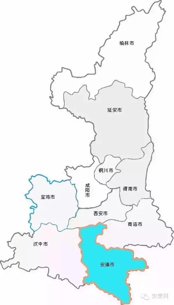 紫阳富硒茶平利绞股蓝(平利绞股蓝茶价格)-硒宝网