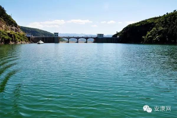紫阳富硒茶平利绞股蓝(平利绞股蓝茶价格)-硒宝网