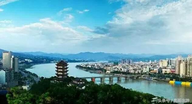 紫阳富硒茶平利绞股蓝(富硒绞股蓝的功效)-硒宝网