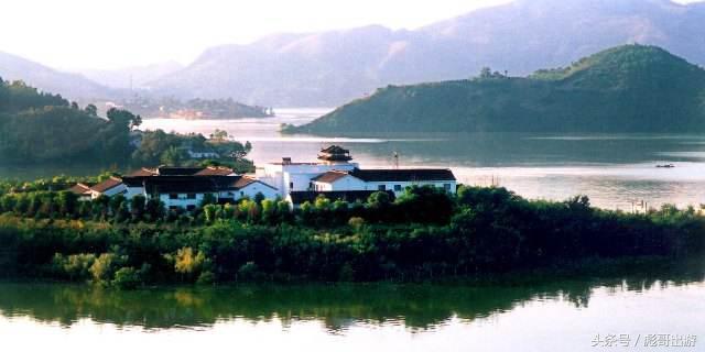 紫阳富硒茶平利绞股蓝(富硒绞股蓝的功效)-硒宝网