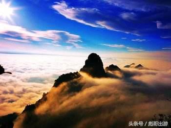 紫阳富硒茶平利绞股蓝(富硒绞股蓝的功效)-硒宝网