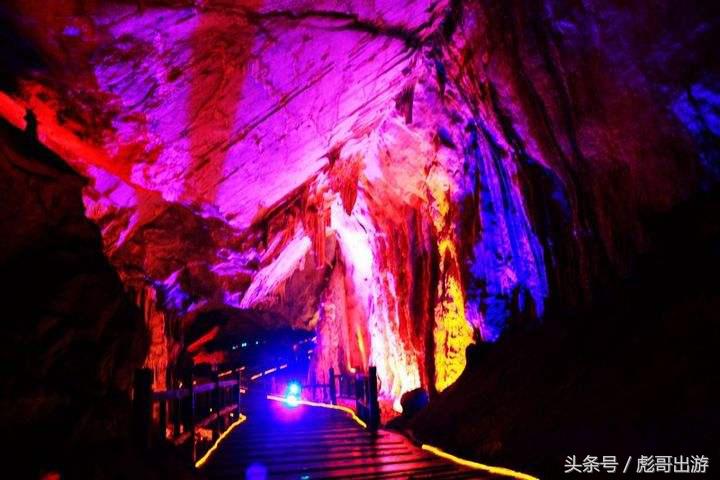 紫阳富硒茶平利绞股蓝(富硒绞股蓝的功效)-硒宝网