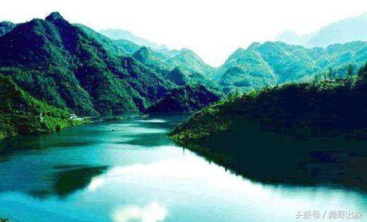 紫阳富硒茶平利绞股蓝(富硒绞股蓝的功效)-硒宝网