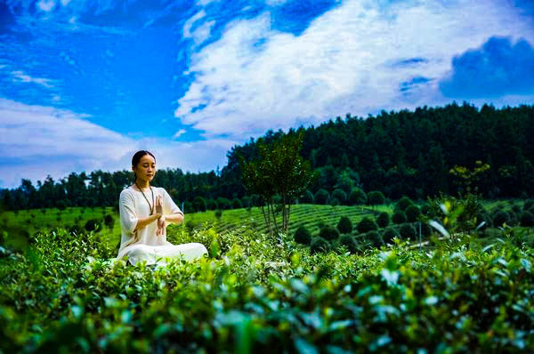 紫阳富硒茶 茶园面积(紫阳富硒茶园观光)-硒宝网