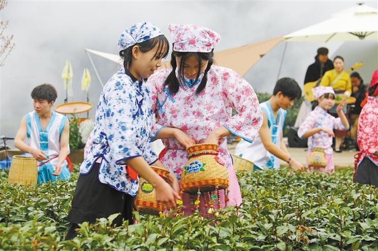 2021年紫阳富硒茶（紫阳富硒茶山）-硒宝网