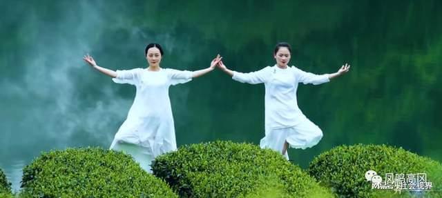 凤冈富锌富硒茶是什么（凤冈锌硒富硒茶）-硒宝网