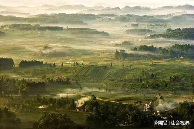 凤冈富锌富硒茶是什么（凤冈锌硒富硒茶）-硒宝网