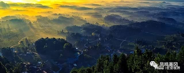 凤冈富锌富硒茶是什么（凤冈锌硒富硒茶）-硒宝网