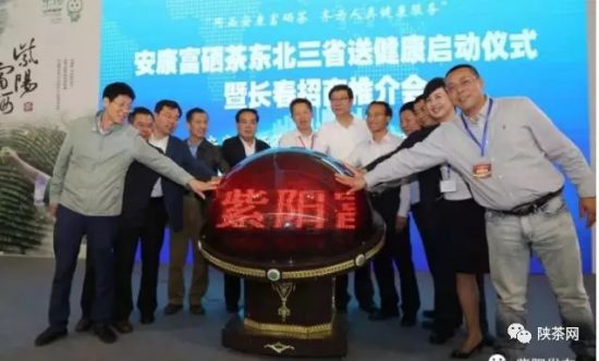 紫阳富硒茶 入选央视（紫阳富硒茶的竞争对手）-硒宝网