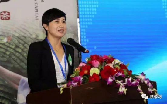 紫阳富硒茶 入选央视（紫阳富硒茶的竞争对手）-硒宝网