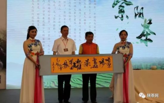 紫阳富硒茶 入选央视（紫阳富硒茶的竞争对手）-硒宝网